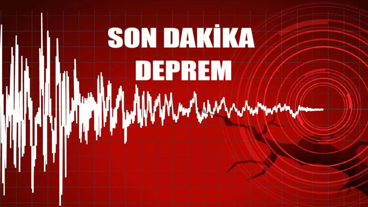 Toygarlı'da korkutan deprem