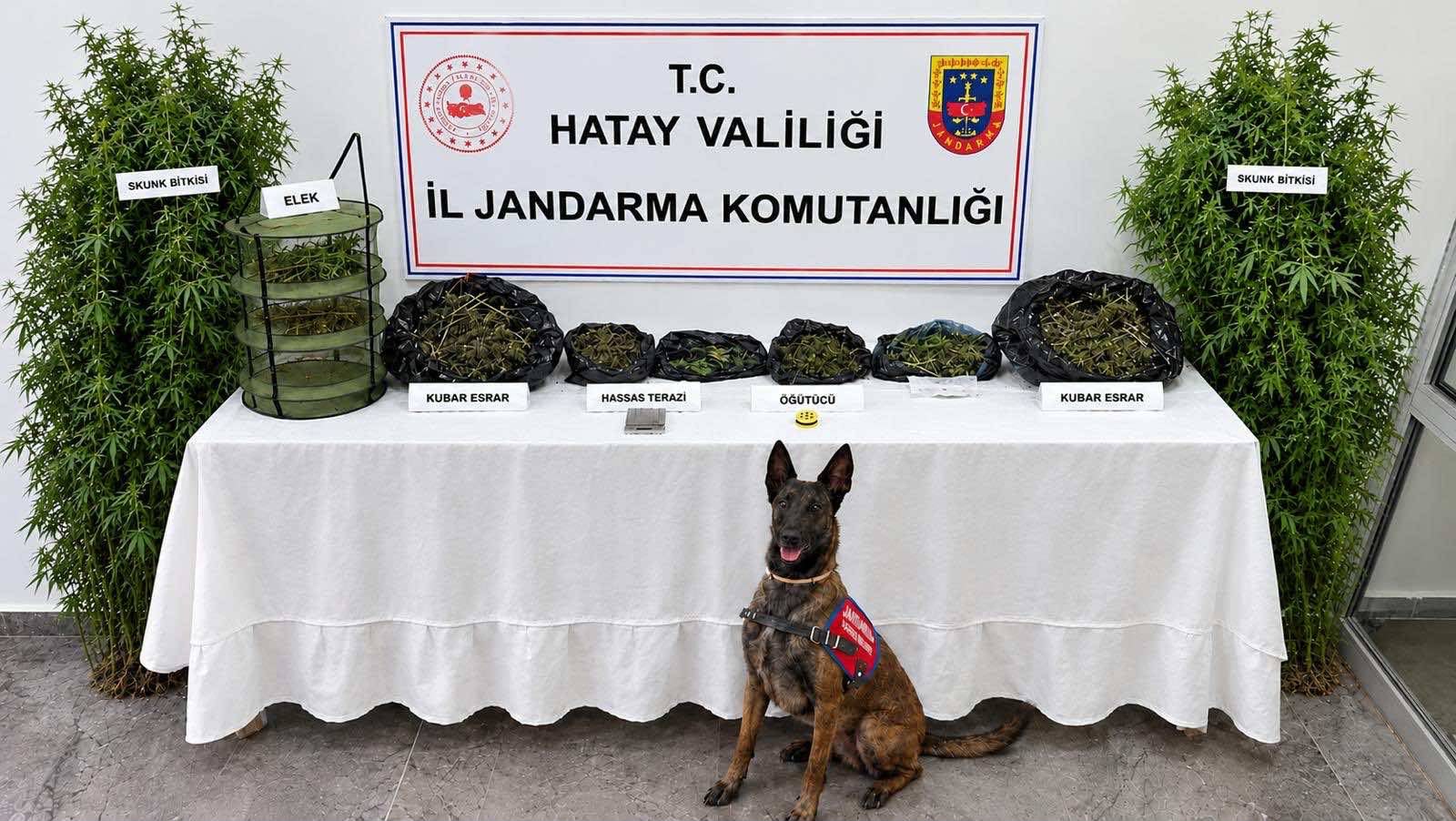 HATAY'DA JANDARMADAN UYUŞTURUCU OPERASYONU: 1 GÖZALTI